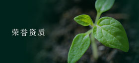 荣誉资质
